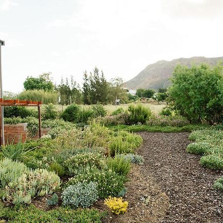 Vineyard Views Country House Riebeek-Kasteel Extérieur photo