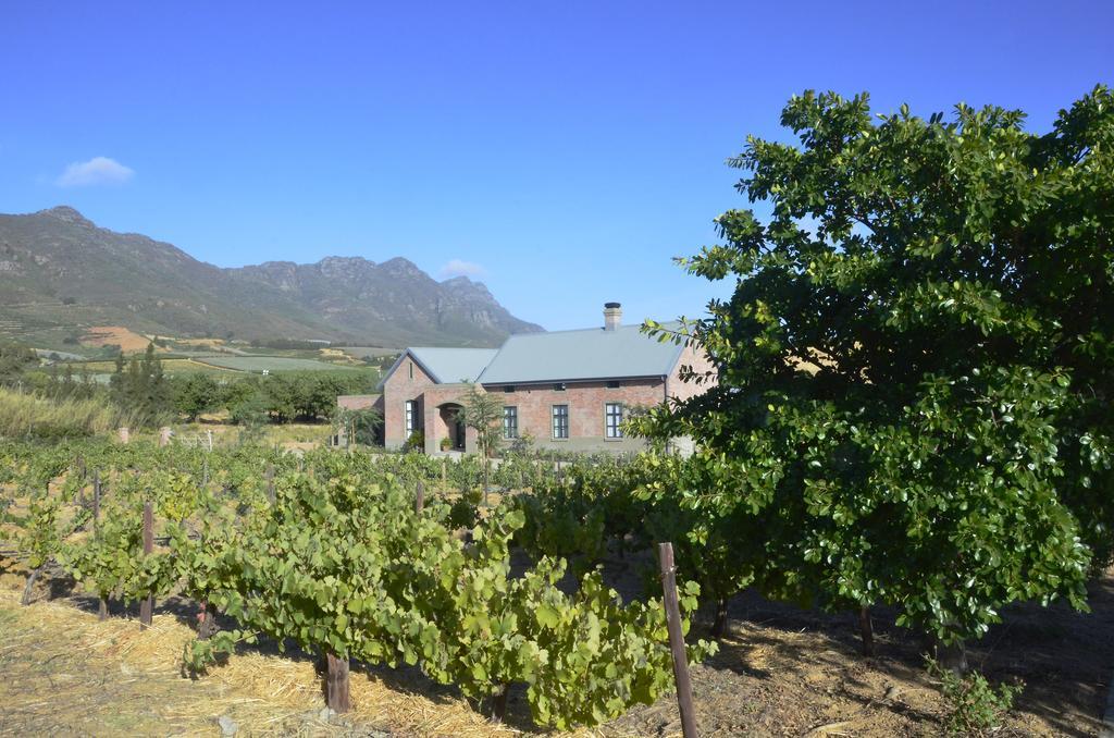 Vineyard Views Country House Riebeek-Kasteel Extérieur photo