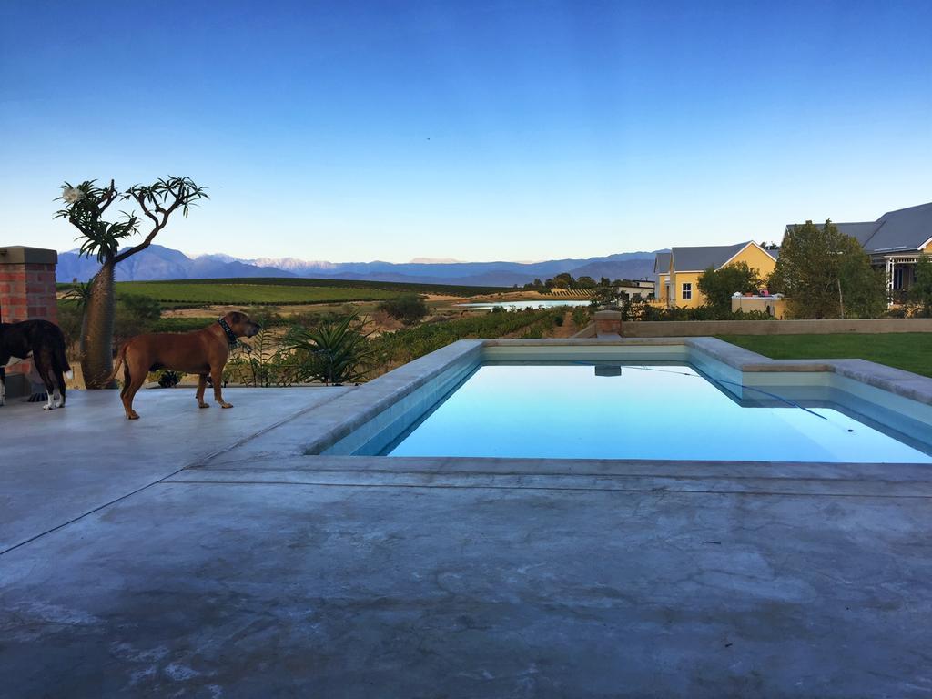 Vineyard Views Country House Riebeek-Kasteel Extérieur photo