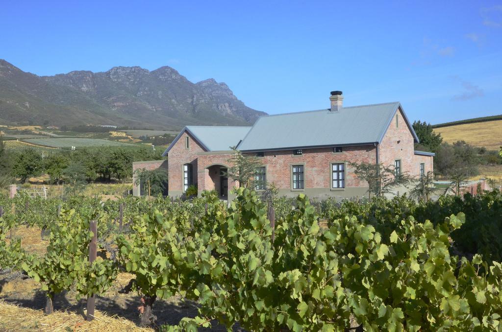 Vineyard Views Country House Riebeek-Kasteel Extérieur photo