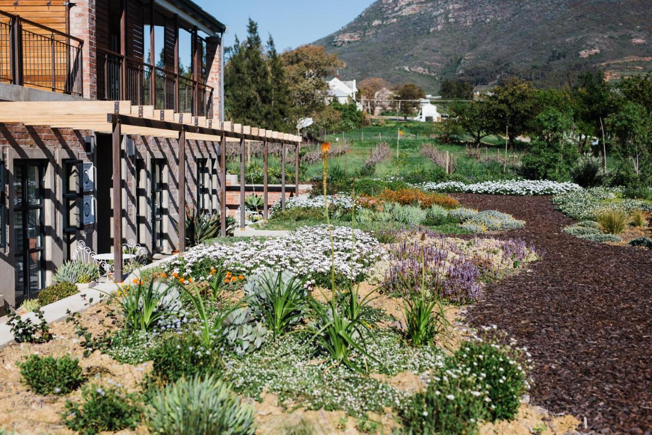 Vineyard Views Country House Riebeek-Kasteel Extérieur photo