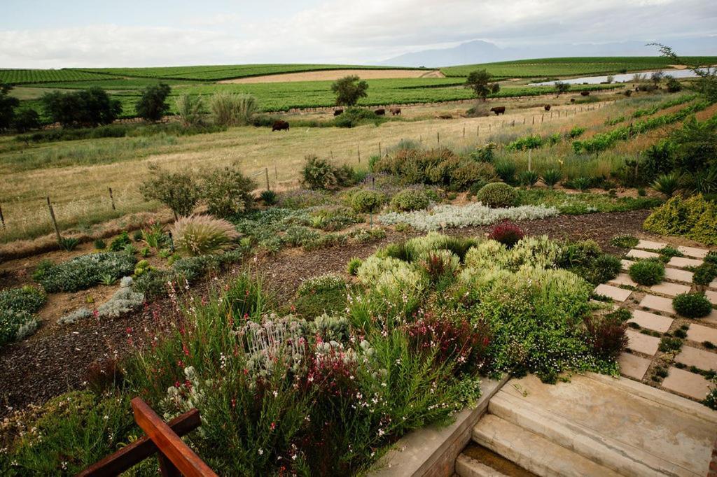 Vineyard Views Country House Riebeek-Kasteel Extérieur photo