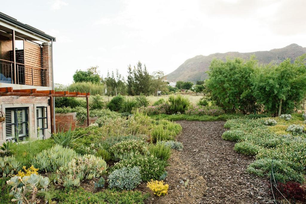 Vineyard Views Country House Riebeek-Kasteel Extérieur photo