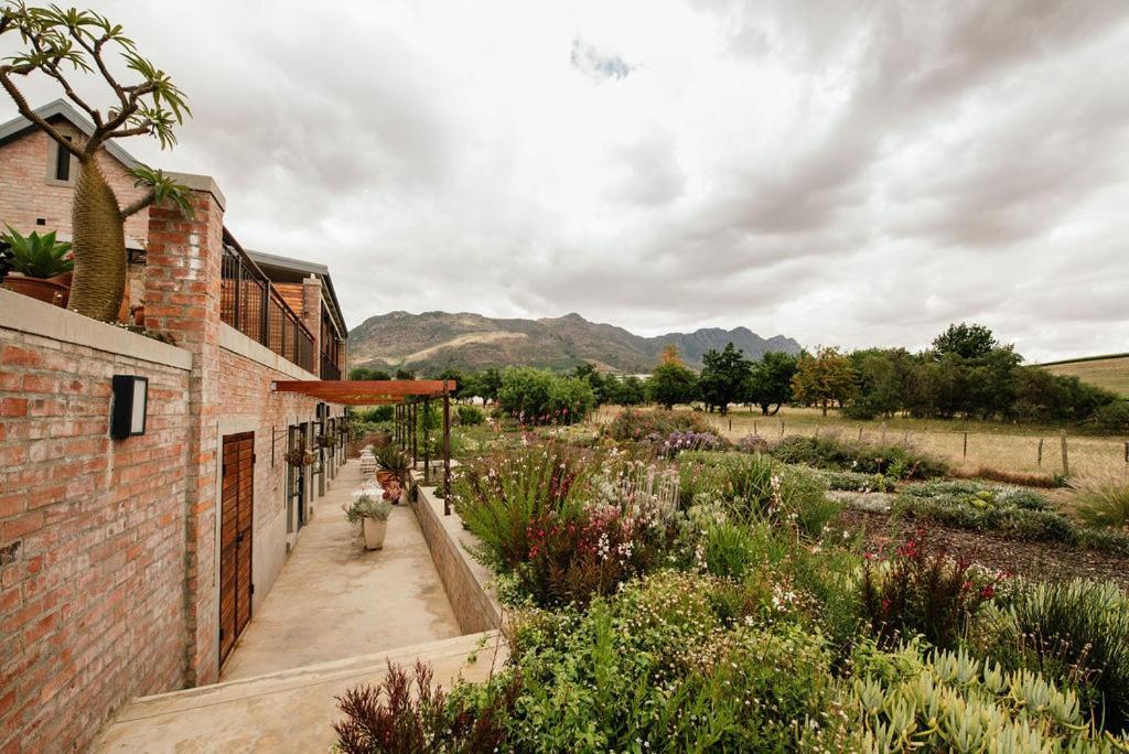 Vineyard Views Country House Riebeek-Kasteel Extérieur photo