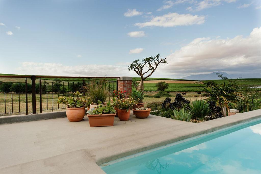 Vineyard Views Country House Riebeek-Kasteel Extérieur photo